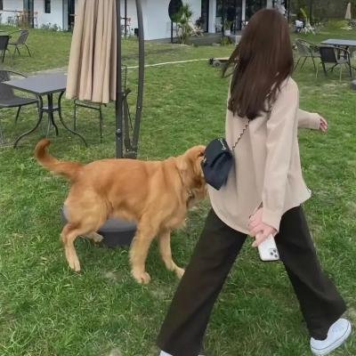 成长实验室